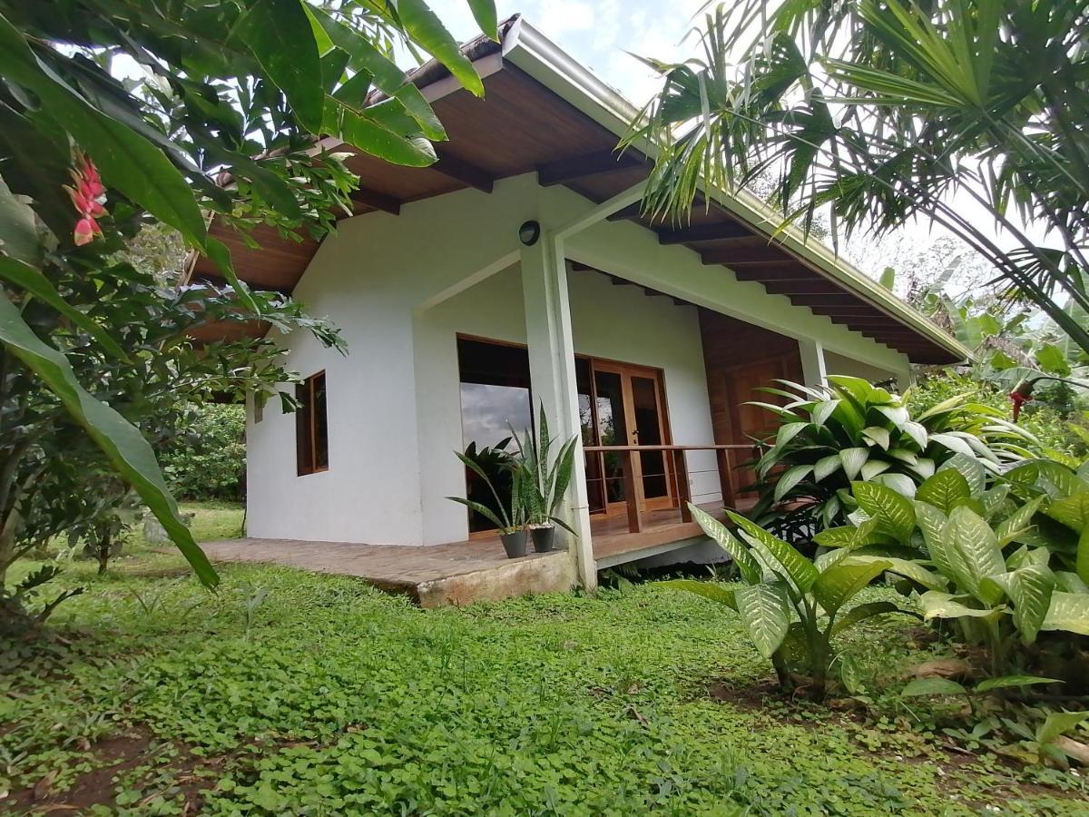 La Ceiba Tree Lodge Тиларан Экстерьер фото