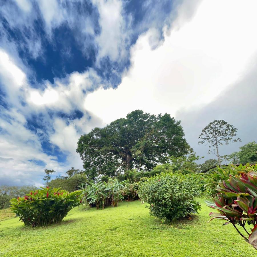 La Ceiba Tree Lodge Тиларан Экстерьер фото