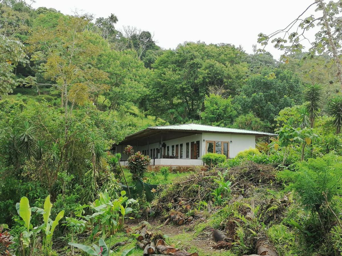 La Ceiba Tree Lodge Тиларан Экстерьер фото
